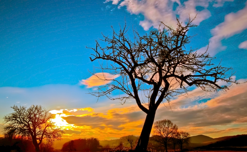 friday sunset