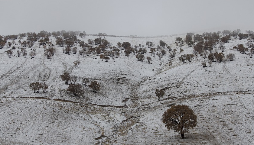 Iran winter