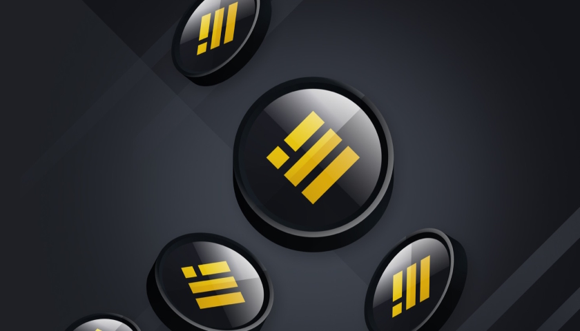 BUSD Binance token