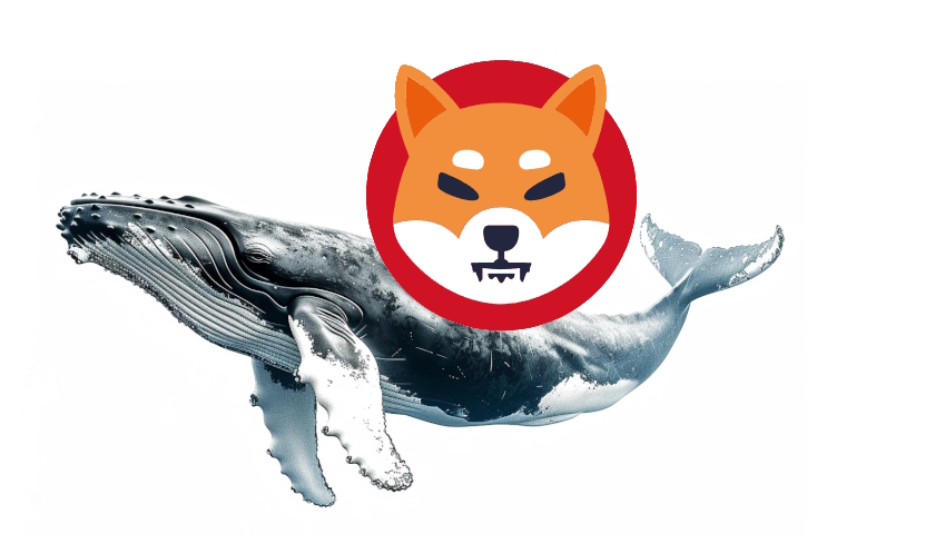 Shiba Inu: Nová peněženka akumuluje 583 777 512 556 SHIB z Binance