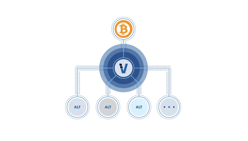 The VeriBlock blockchain