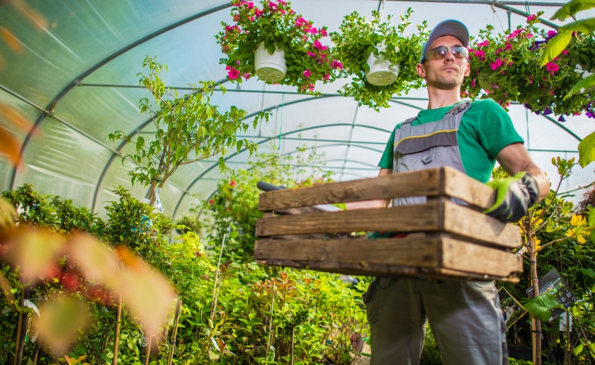 bitcoin green house