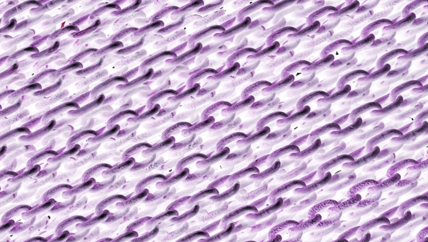 blockchain